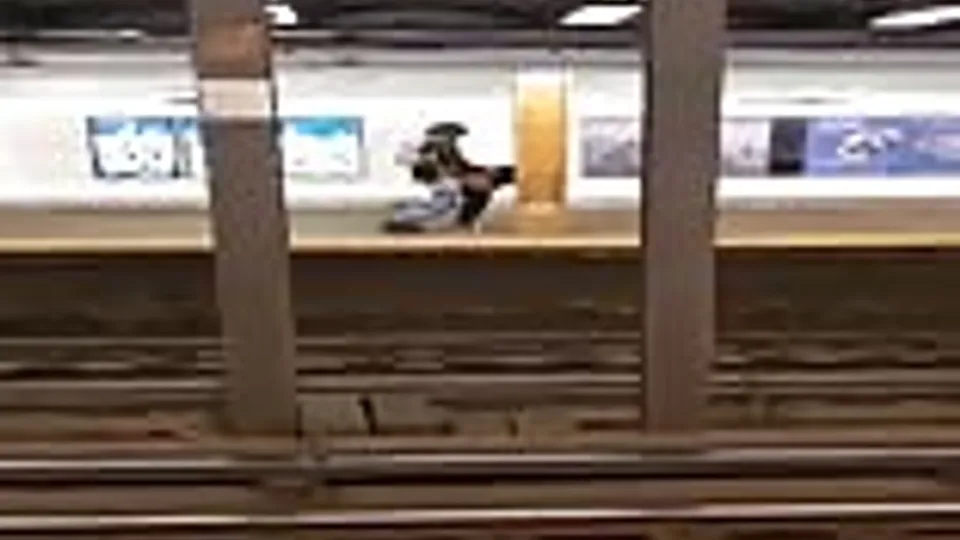 Public Encounter in NYC