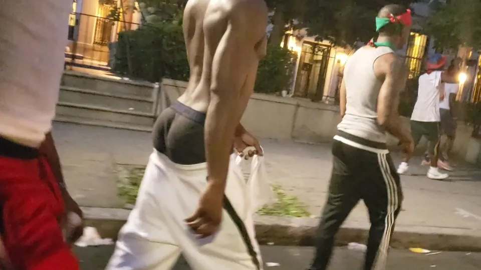 ثعلب متهور يتباهى بجماله الجنسي