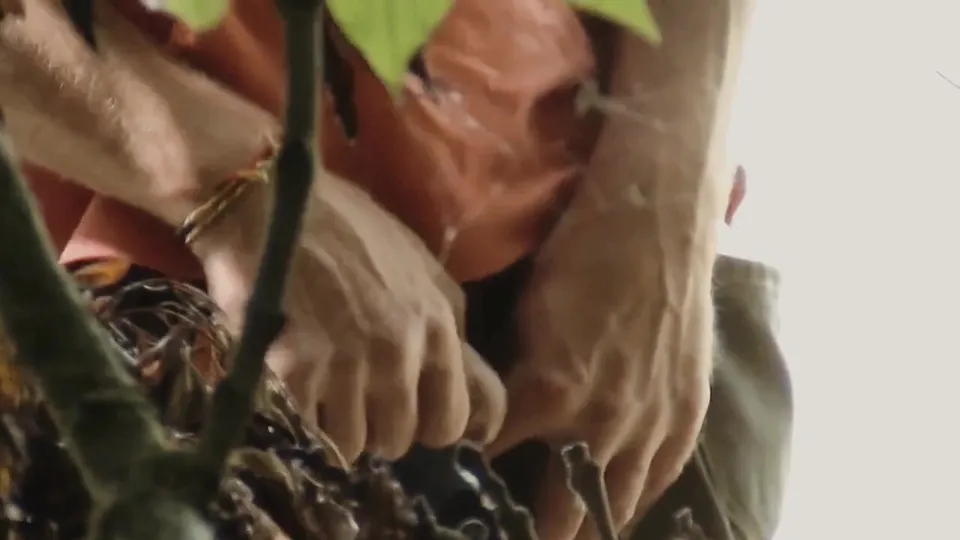 Tight foreskin pisser - ThisVid.com