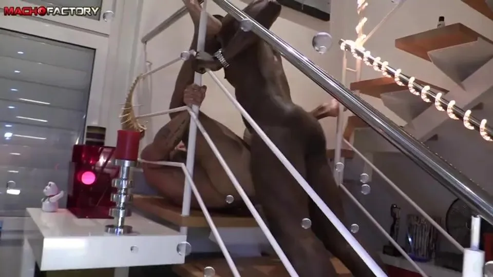 Titan Rex and Louis Ricaute: Stairway to Passion