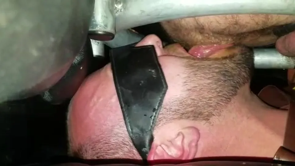 Toilet slave eats shit - ThisVid.com