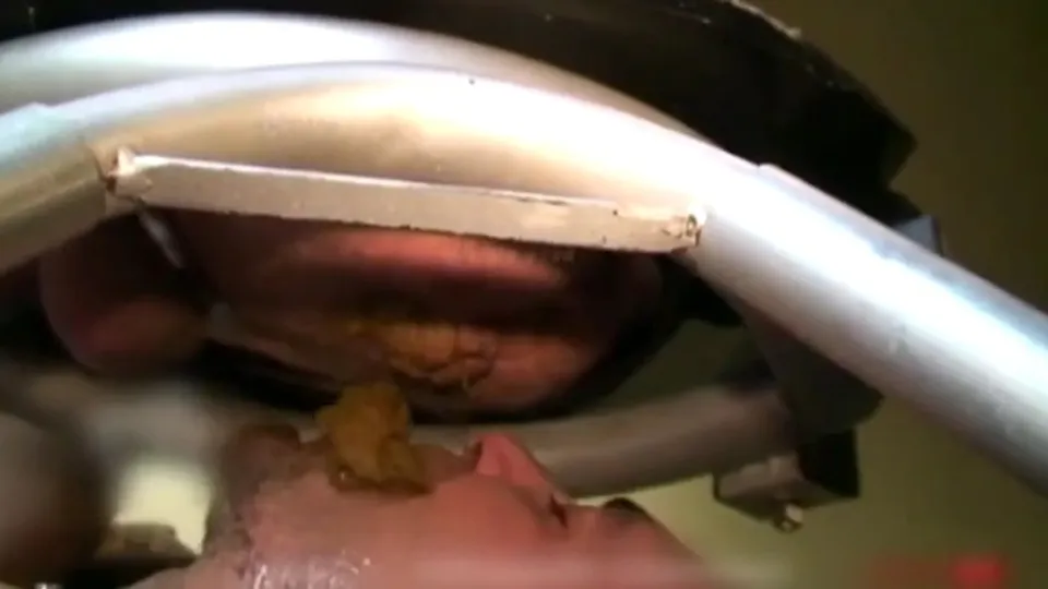 Tow pigs have scat session - ThisVid.com