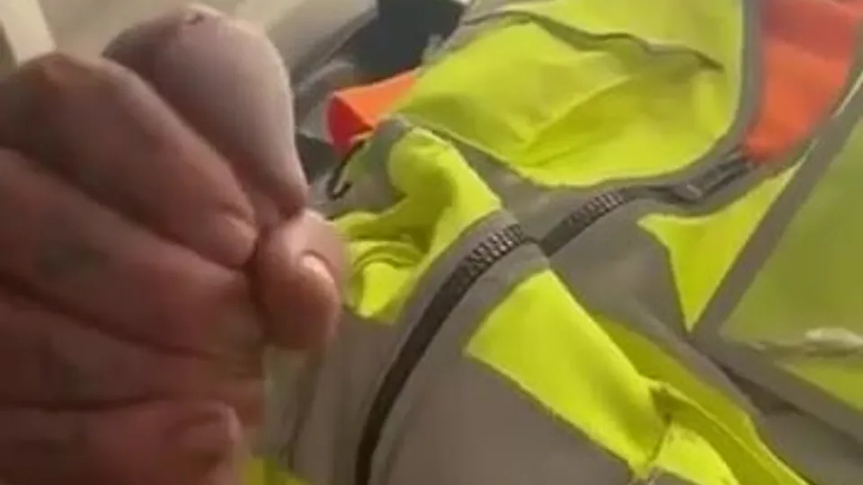 Tradie rubs a load out in the porta potty - ThisVid.com