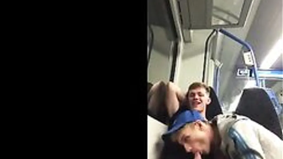 Train 009 at morning