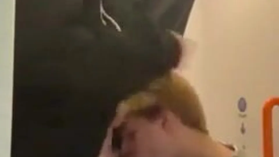 Twink Group Blowjob in Public