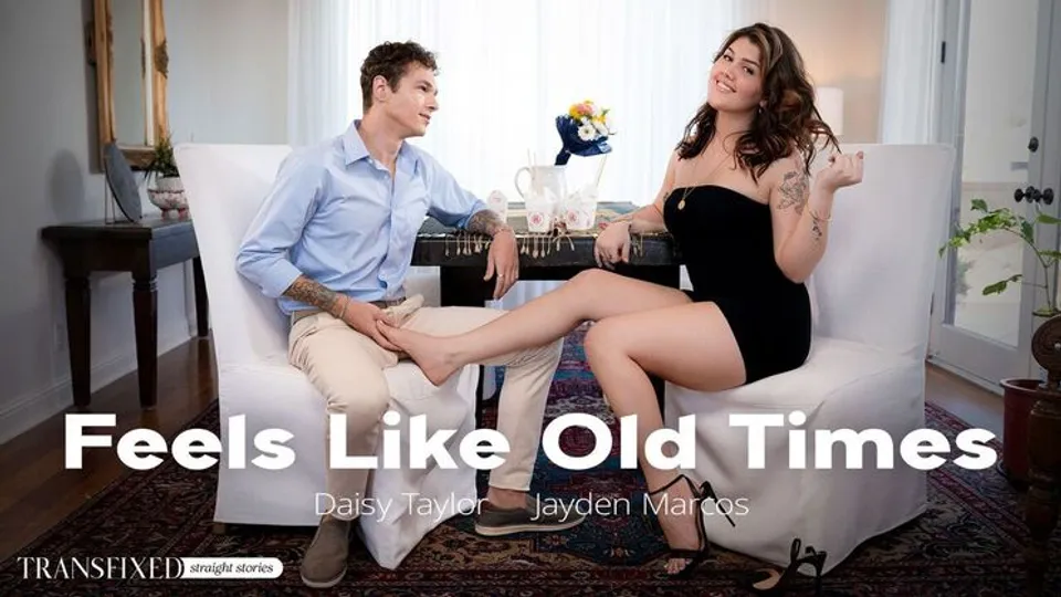 Transfixed - Daisy TaylorJayden Marcos - Feels Like Old Times 
