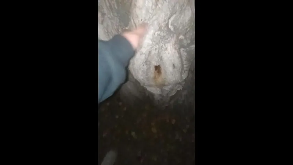 Tree with a perfect pussy!