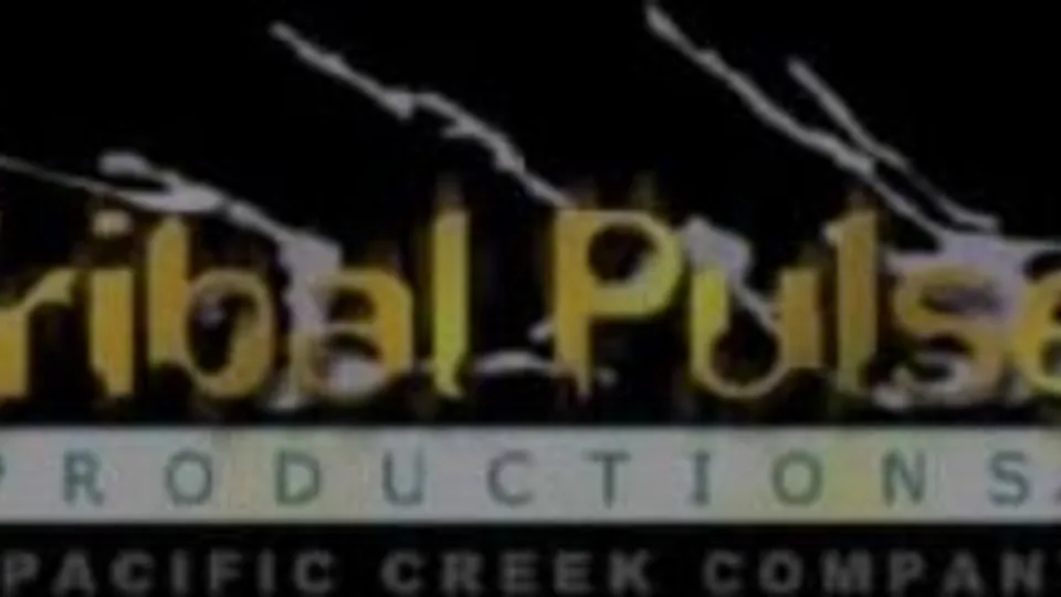 Tribal Pulse - Beauty Prision