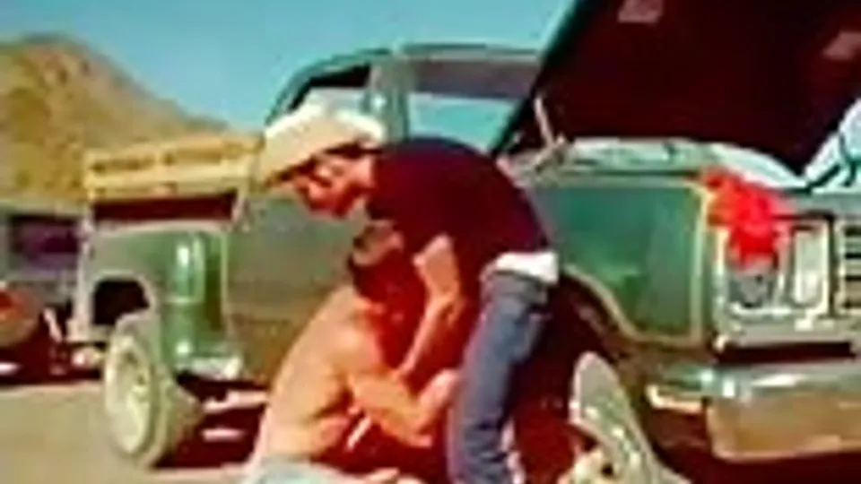Truck Drivers (falcon)