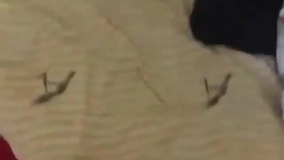 Turkish boy jerks while sleeping friends