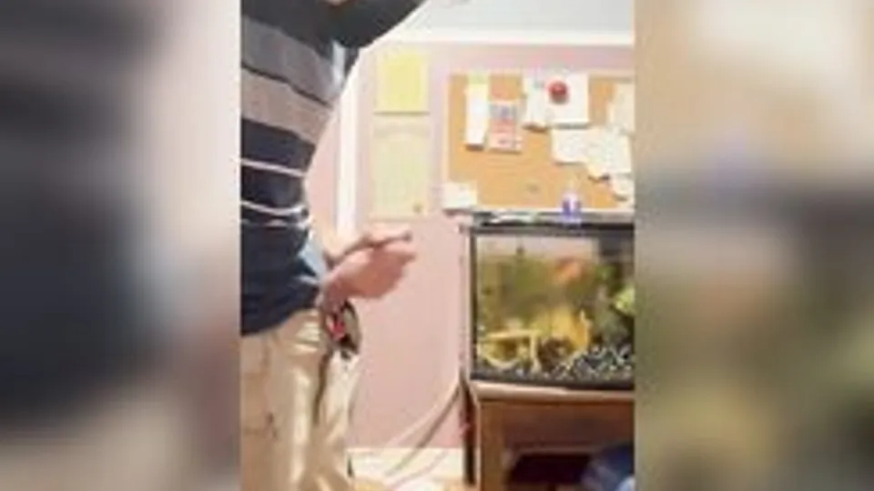 Twink cums in room with Aquarium