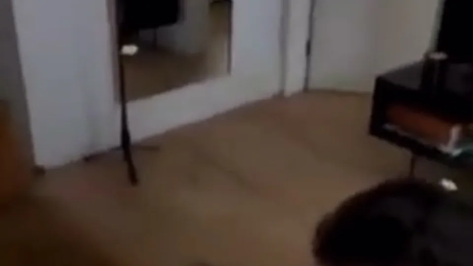 Twins finally going at it. - ThisVid.com