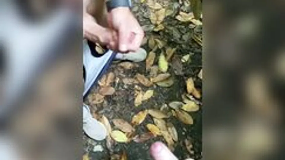 [Twit] [427] Who dropped their pants outside with a mate to drop a nut