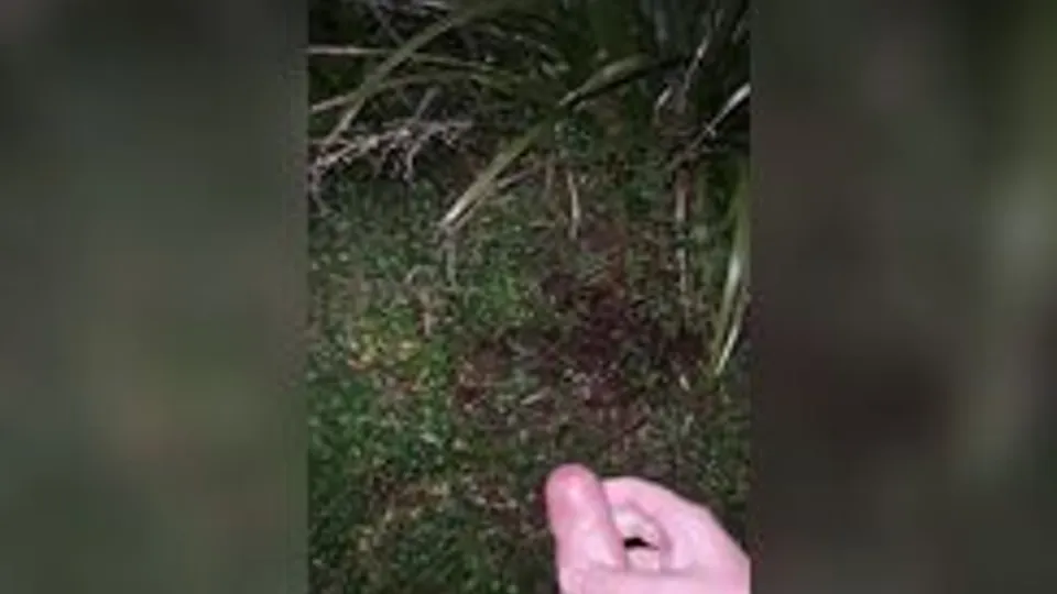 [Twit] [442] Does this help the plants grow