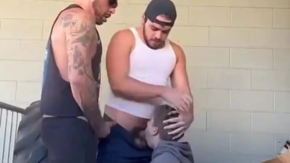 Two bears and a cub in the garage