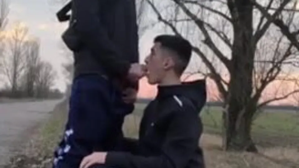 Two chavs have a quick suck in the park - ThisVid.com