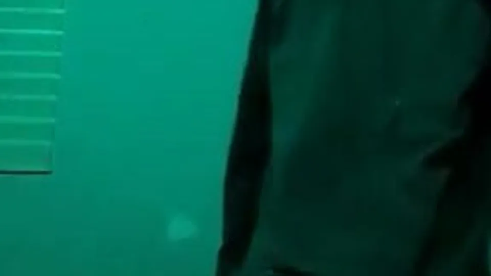 Unexpected huge dick bedroom flash cock