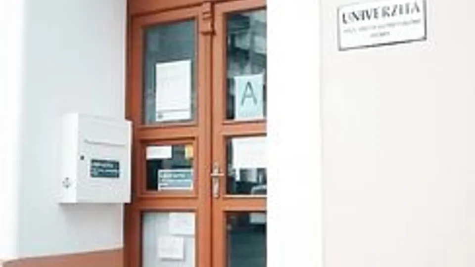 University internship