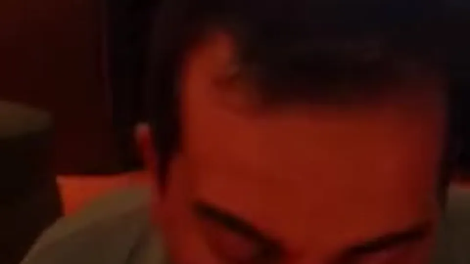 Verbal Feeder - ThisVid.com