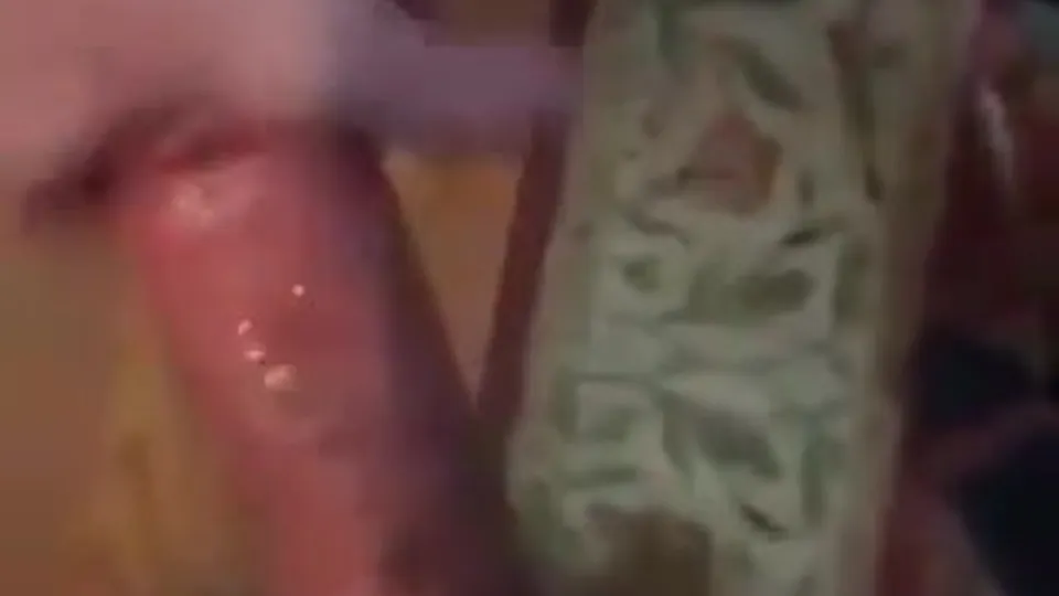 VERY VERBAL BATOR BROS 2 - ThisVid.com