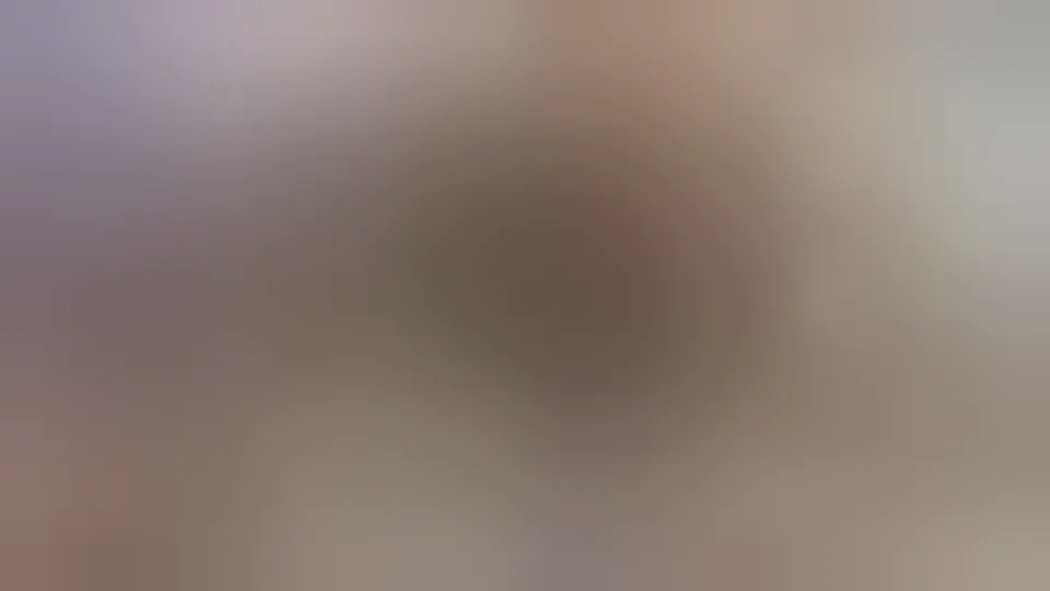 Video No. 17
