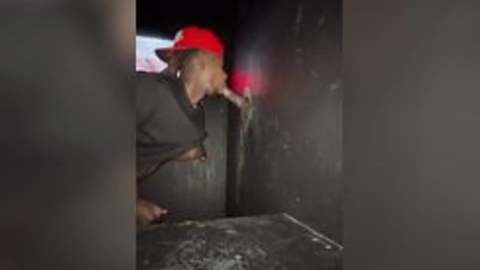 Jongen Glory Hole Masturberen