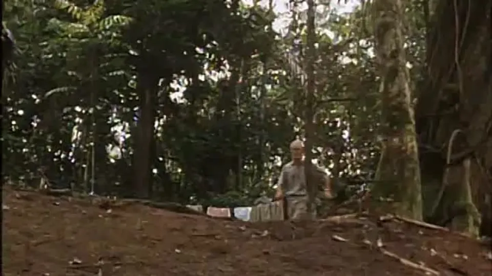Videos At Play in the Fields of the Lord (1991)  Tom Berenger, John Lithgow, Daryl Hannah | OK.RU