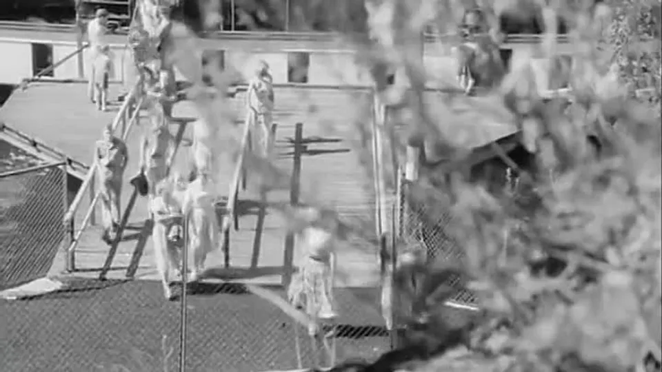 Videos Byens Bad (1952) | OK.RU
