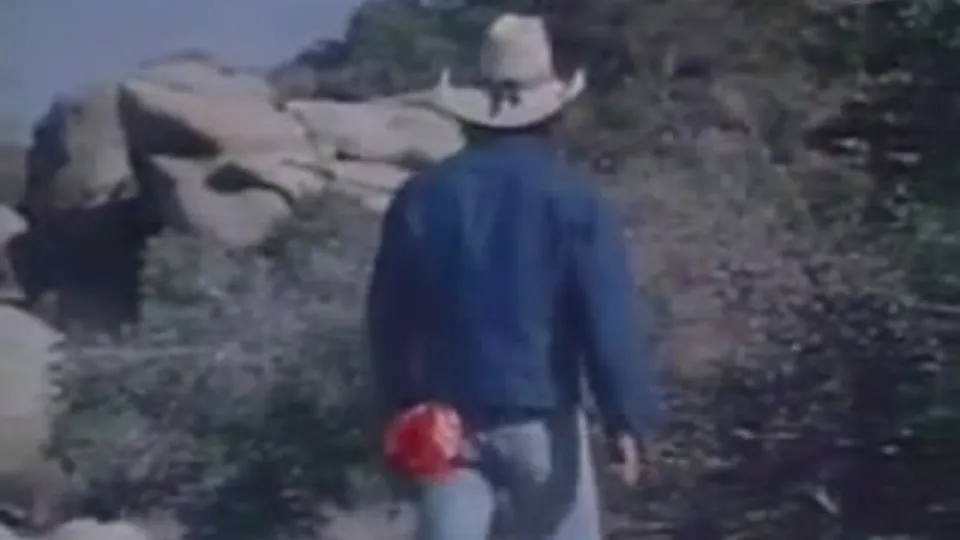 VINTAGE 498 - THE NEW BREED (1981) - ThisVid.com
