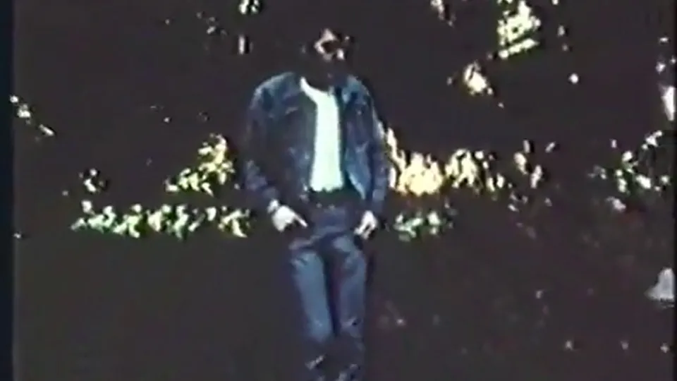 vintage - abduction in the park  — PornOne ex vPorn