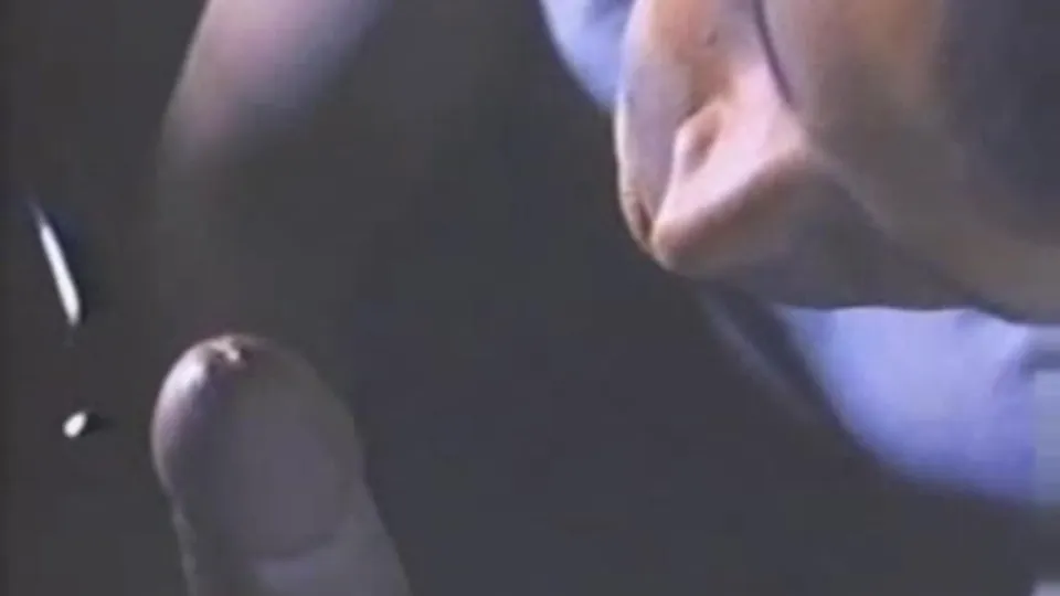 Vintage blowjob in the car