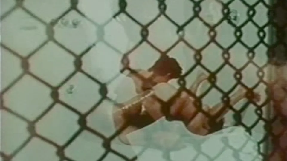 Vintage collage guys - ThisVid.com