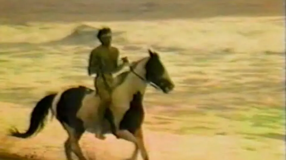 VINTAGE - PEGASUS {1982} - ThisVid.com