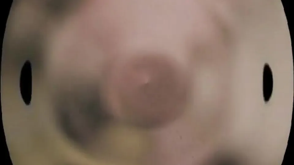 Vintage porn: 'Snow Day Four Way'