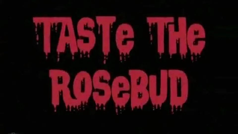 VINTAGE - UNDERGROUND KINK (1970) - ThisVid.com
