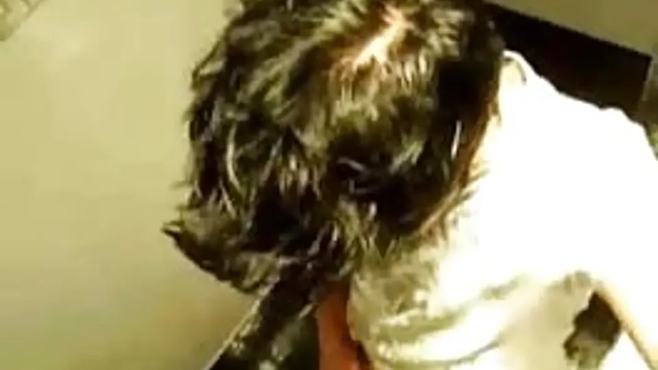 Wank in toilet
