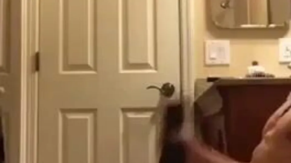 Wank toy