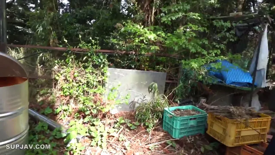 Watch Appearance! ! 3 days limited 1980pt! ! beloved heroine  - 2023