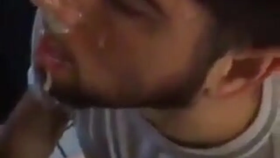 Watch pig take facials in the restroom - ThisVid.com