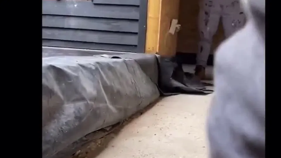 Freeball Job Site Encounter