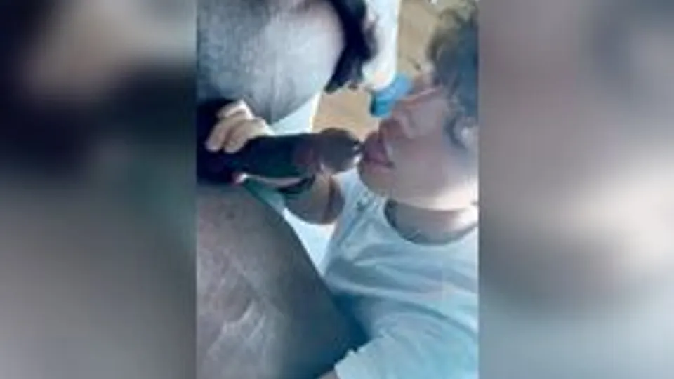 精壮少男用大号黑色假阳具自慰