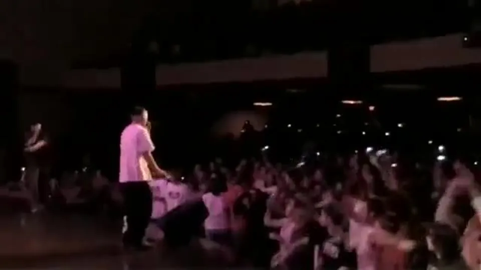 Irklar Arasında Evlilik