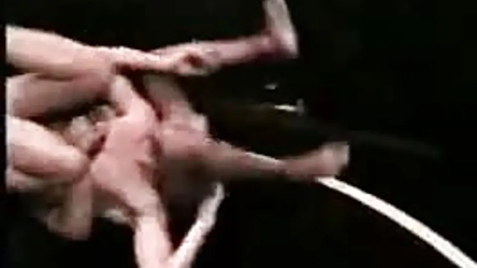 Wrestling