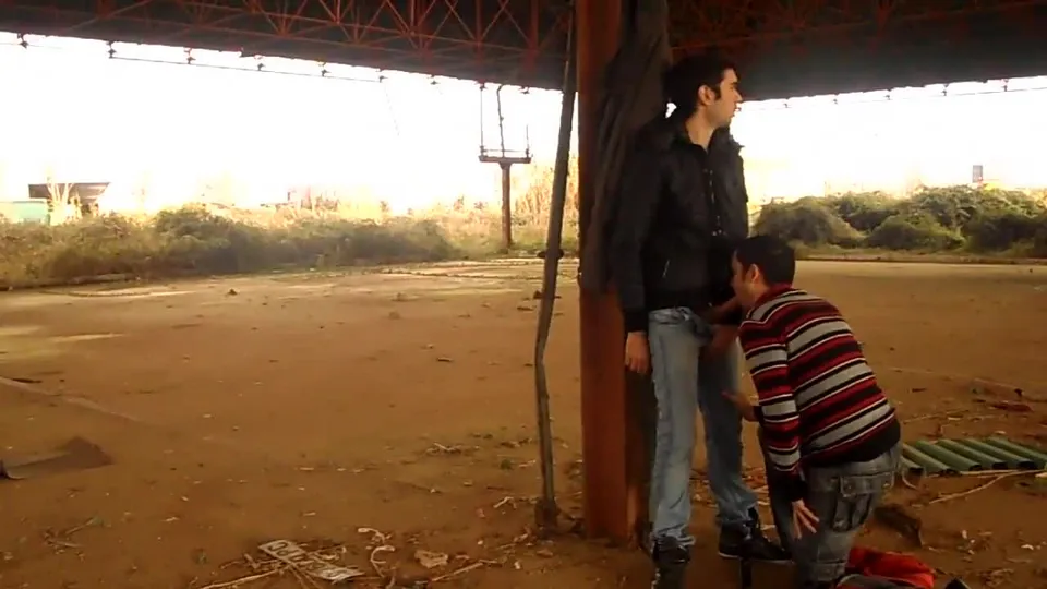 Gay Twinks in Public Sex