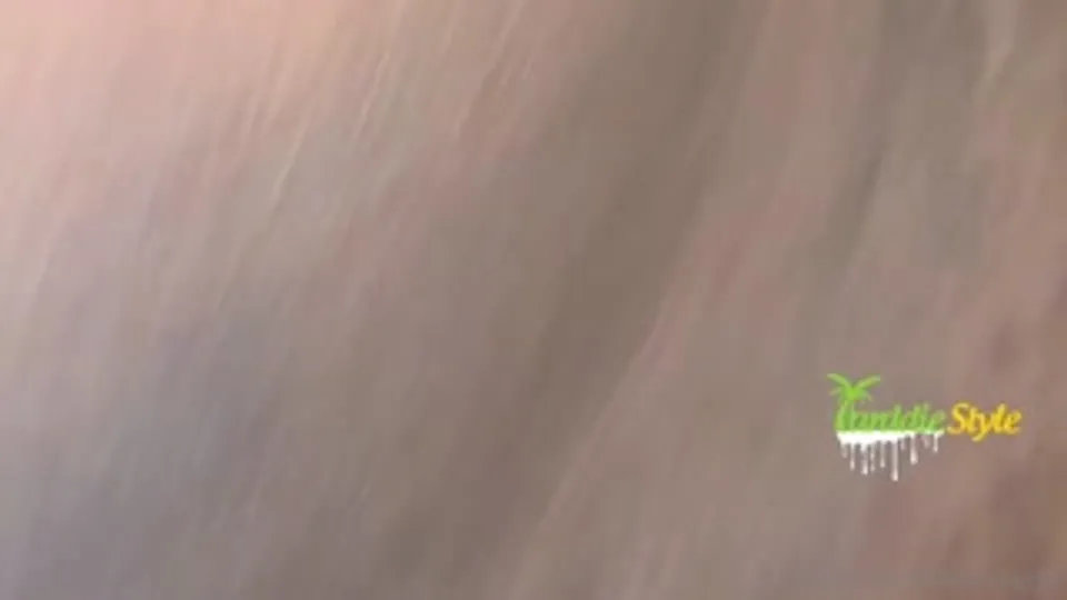 YarddieStyle & Achterste Koning