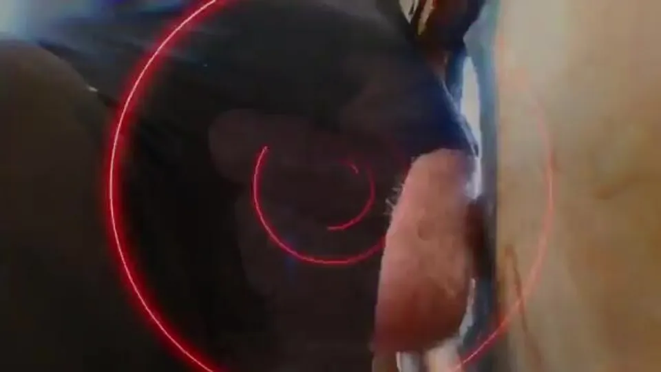 Yes Brain - ThisVid.com