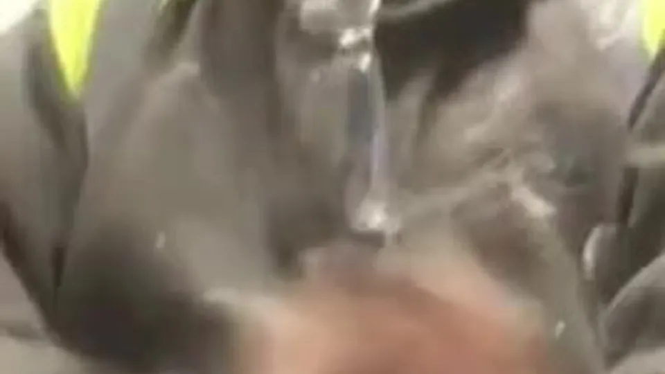 Young construction worker jerking it & cumming - ThisVid.com