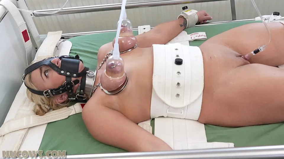 Zoey Ziptie's Triple Milking