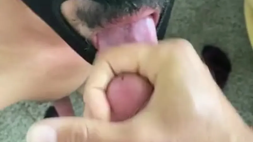 Zoltron X (OF) @zoltron (16) - free gay porn
